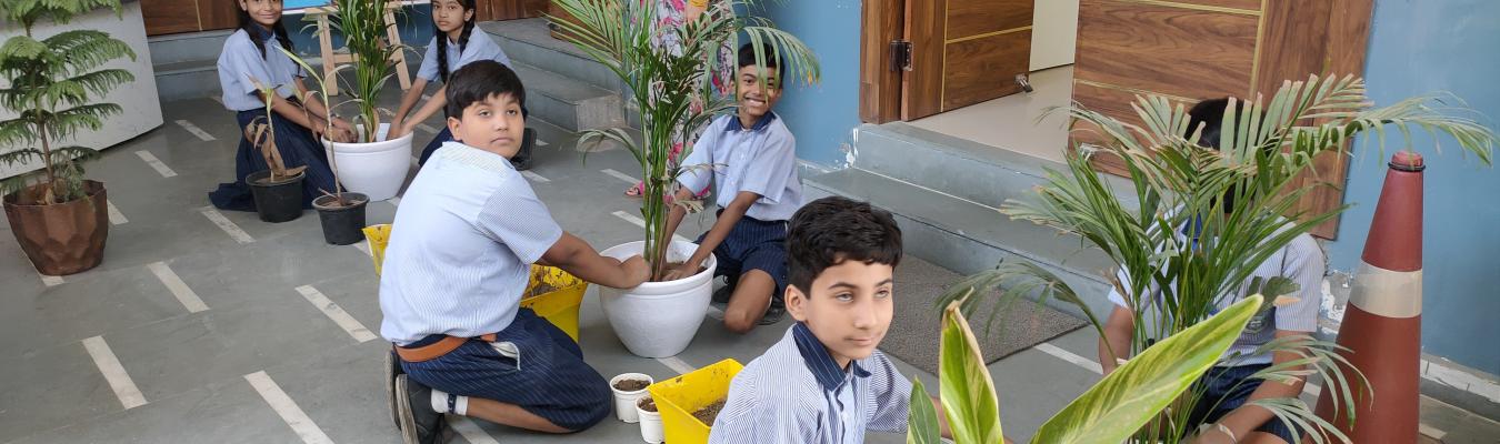 J T Public School